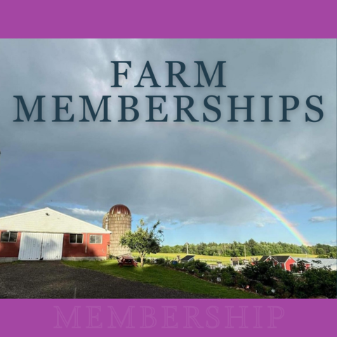 MEMBERSHIP (1) Membership