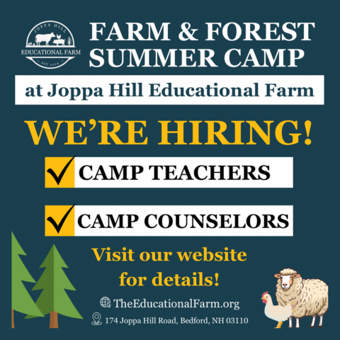 camp (1)