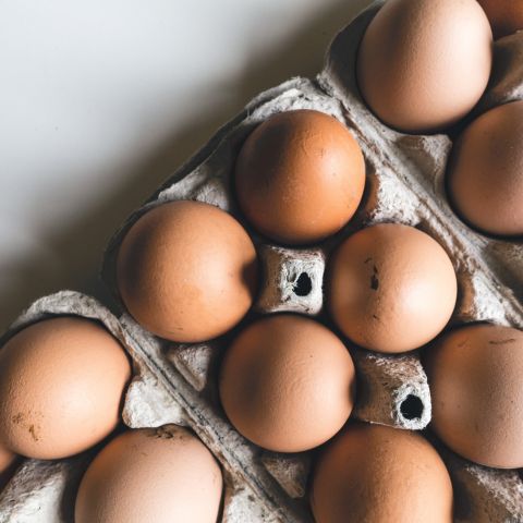 eggs farm fresh eggs